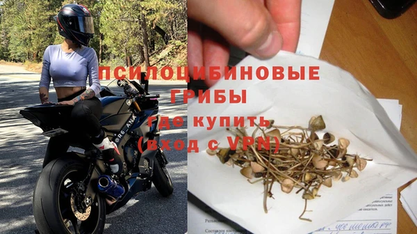 сатива Абинск