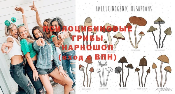 хмурый Абдулино