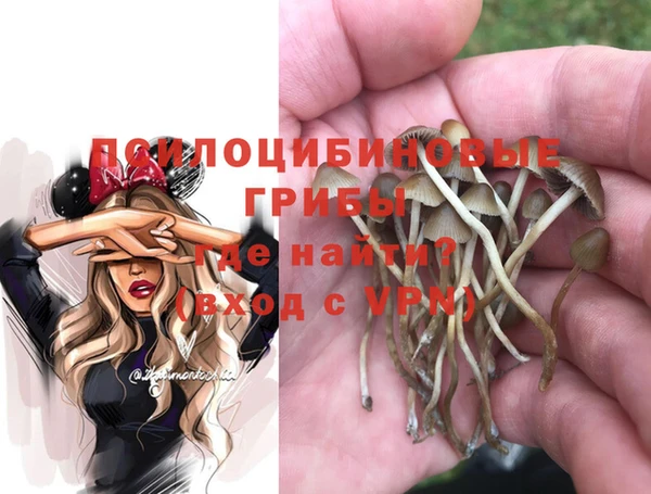 сатива Абинск