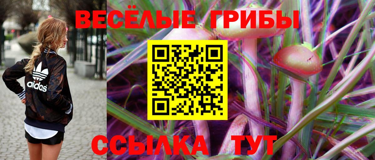 Псилоцибиновые грибы Psilocybine cubensis Гагарин